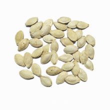 Semillas de calabaza de semillas de calabaza blancas baratas de especialidad local al por mayor con la mejor calidad